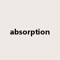 absorption是什么意思