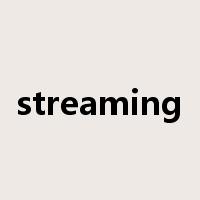streaming是什么意思