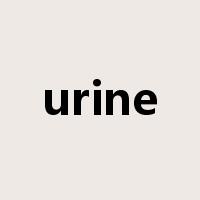 urine是什么意思