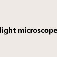 light microscope是什么意思