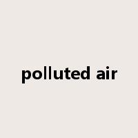 polluted air是什么意思