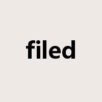 filed是什么意思