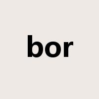 bor是什么意思