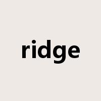 ridge是什么意思