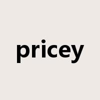 pricey是什么意思