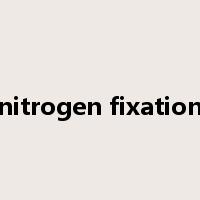 nitrogen fixation是什么意思