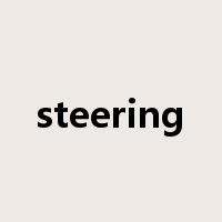 steering是什么意思