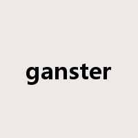 ganster是什么意思