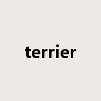 terrier是什么意思