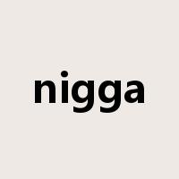 nigga是什么意思
