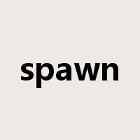 spawn是什么意思