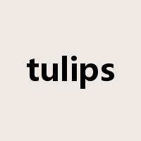 tulips是什么意思