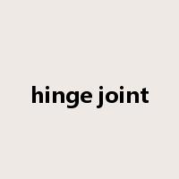 hinge joint是什么意思