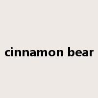 cinnamon bear是什么意思