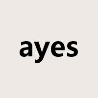 ayes是什么意思