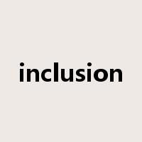 inclusion是什么意思