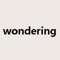 wondering是什么意思