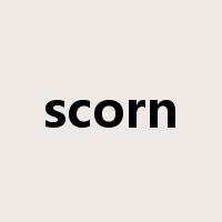 scorn是什么意思