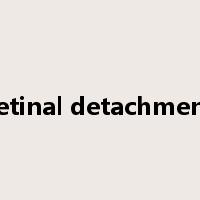 retinal detachment是什么意思