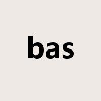 bas是什么意思