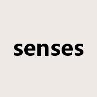 senses是什么意思