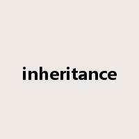 inheritance是什么意思