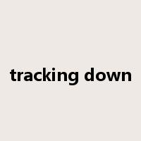 tracking down是什么意思