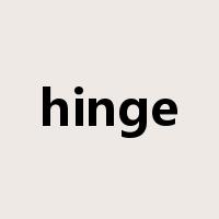 hinge是什么意思
