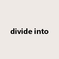 divide into是什么意思