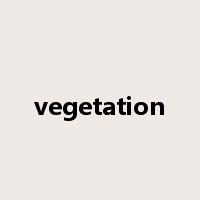vegetation是什么意思