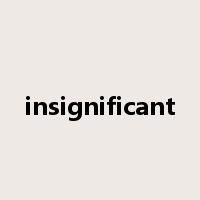 insignificant是什么意思