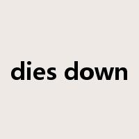 dies down是什么意思