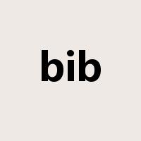 bib是什么意思