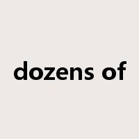 dozens of是什么意思