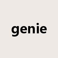 genie是什么意思