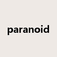 paranoid是什么意思