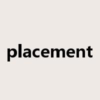 placement是什么意思