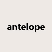 antelope是什么意思