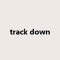 track down是什么意思