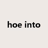 hoe into是什么意思