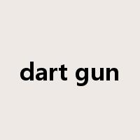 dart gun是什么意思