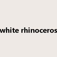 white rhinoceros是什么意思