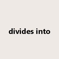 divides into是什么意思