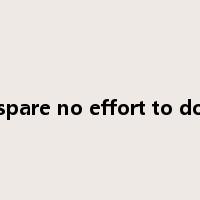 spare no effort to do是什么意思