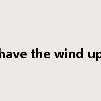 have the wind up是什么意思