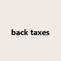 back taxes是什么意思
